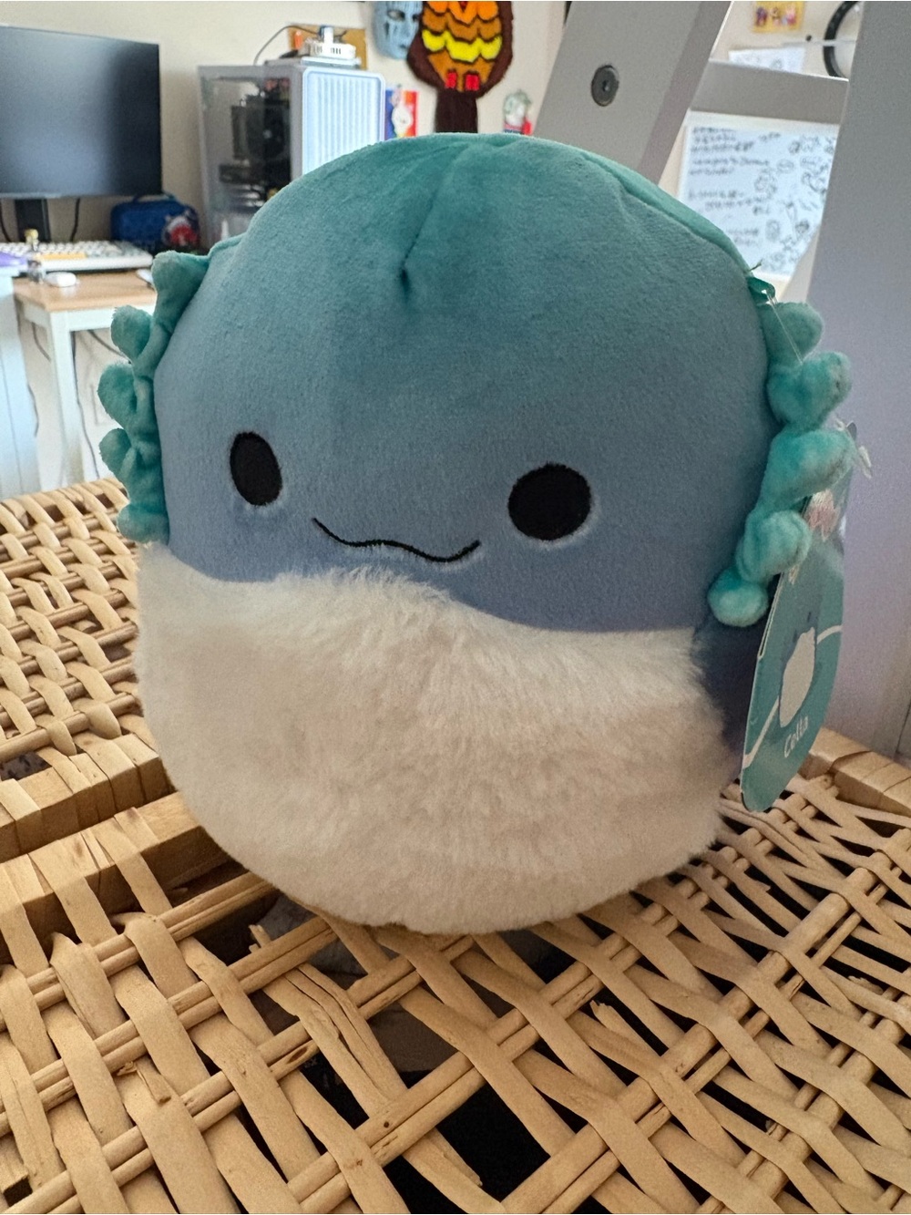 Squishmallows Cella the Bearded Dragon 8" Plush NEW.